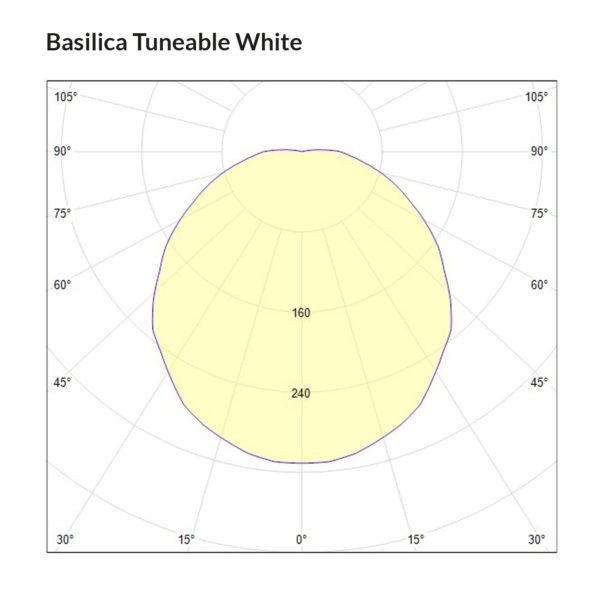 Basilica Tuneable White Polar Curve