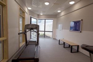 Vandal Resistant Lighting, Robust Lighting, Secure Health lighting