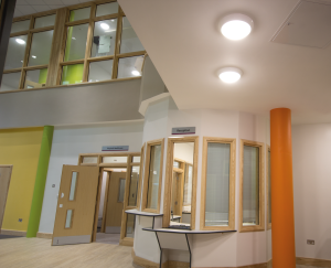 Vandal Resistant Lighting, Robust Lighting, Secure Health lighting