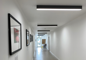 Vandal Resistant Lighting, Robust Lighting, Secure Health lighting