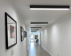 Ligature Resistant lighting