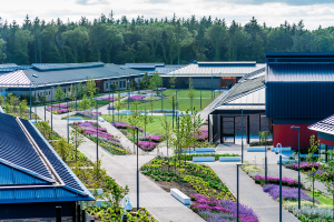 Vandal Resistant Lighting, Robust Lighting, Secure Health lighting