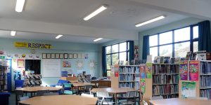 Curve VR Vandal Resistant Luminaire