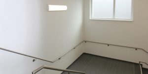 Curve VR Vandal Resistant Luminaire