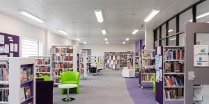 Curve VR Vandal Resistant Luminaire, Custodial Lighting, Prison Lighting