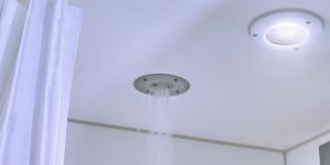Vandal Resistant Lighting, Robust Lighting