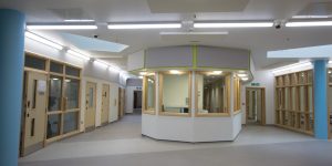 Ligature Resistant Lighting