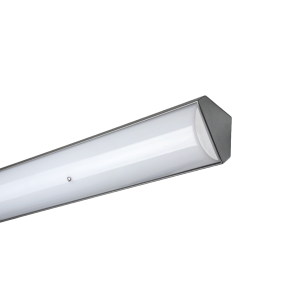 Parkalux Angled Vandal Resistant Luminaire