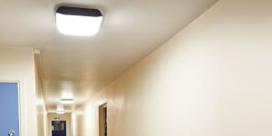 Vandal Resistant Lighting, Robust Lighting