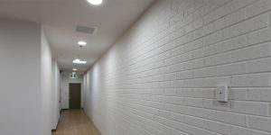 Ligature Resistant Lighting