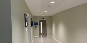 Ligature Resistant Lighting