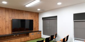 Ligature Resistant Lighting