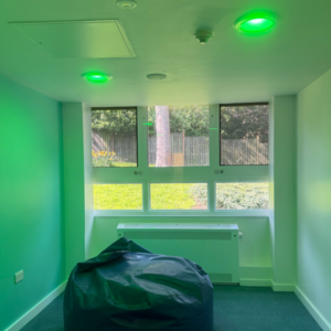 Ligature Resistant Lighting