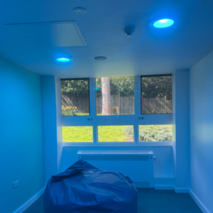 Ligature Resistant Lighting