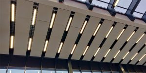 Transport Lighting