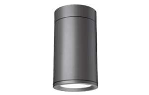 Terminus Surface Vandal Resistant Luminaire