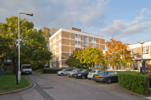 Waltham Forest Framework Vandal Resistant Lighting, Robust Lighting