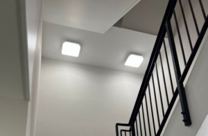 Vandal Resistant Lighting, Robust Lighting