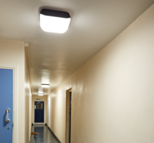 Vandal Resistant Lighting, Robust Lighting