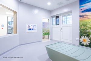 Secure Health bedroom ligature resistant lighting