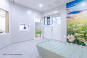 Secure Health bedroom ligature resistant lighting