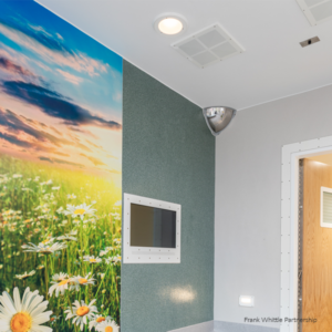 Secure Health bedroom ligature resistant lighting